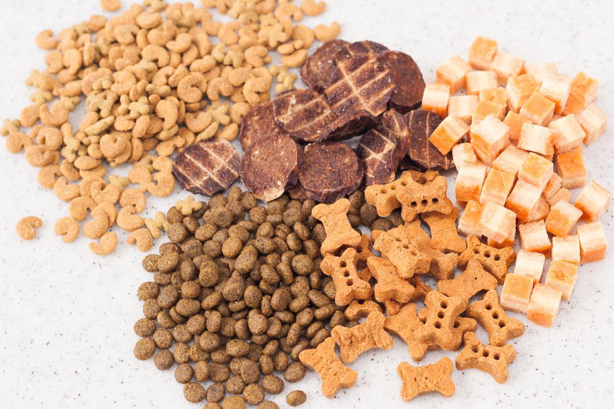 寵物食品安全檢測:這些項目你了解嗎?